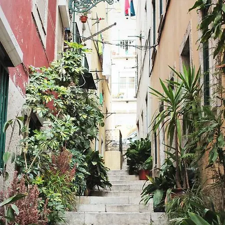 Lov'alfama, At In